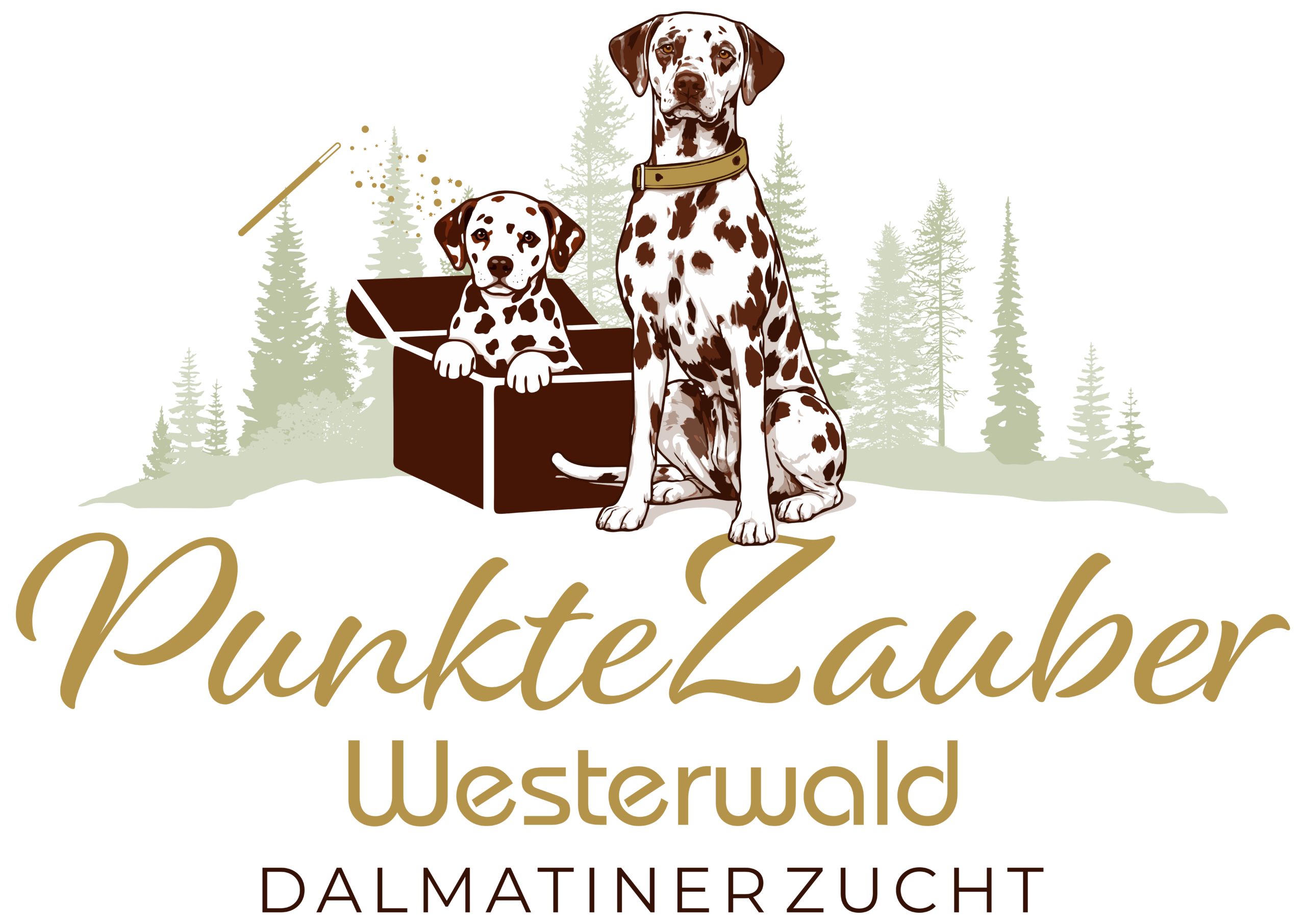 Logo_Punktezauber