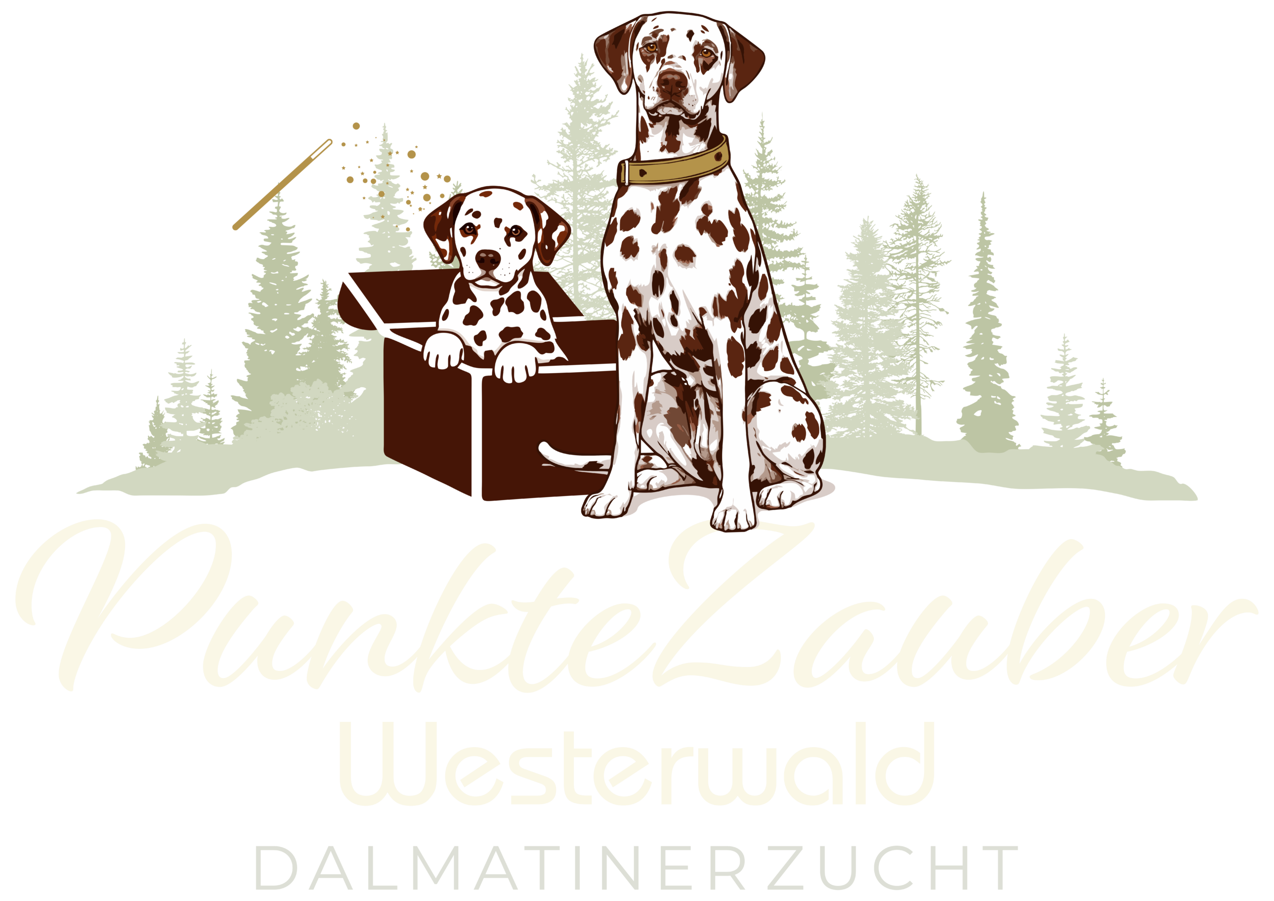 Logo_Punktezauber_helleSchrift